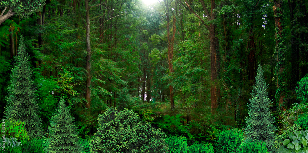 You are currently viewing Why is the environment important?